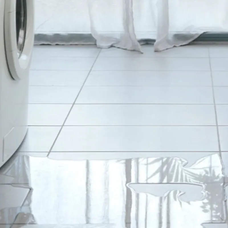 Appliance Leak Cleanup in Chehalis, WA